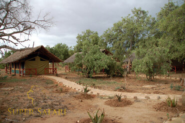 Namioty w Tsavo