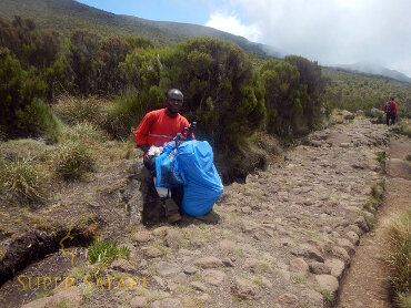 Kilimanjaro