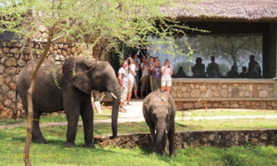 Tarangire Safari Lodge_23