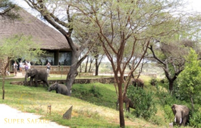 Tarangire Safari Lodge_24