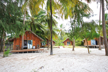 domki w ogrodzie palmowym
