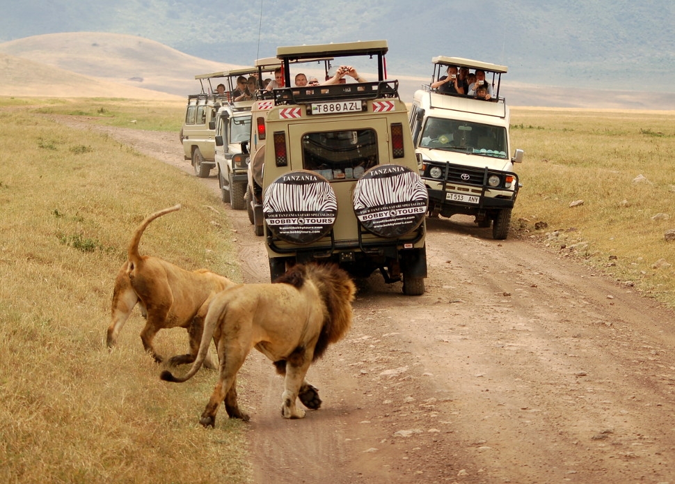 Rezerwat Ngorongoro